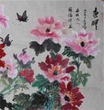 ���ƣ�����